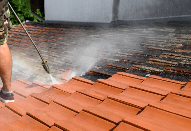 Best Local Pressure Washing Services  in Corinth, TX