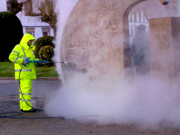Best Roof Pressure Washing  in Corinth, TX